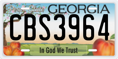 GA license plate CBS3964