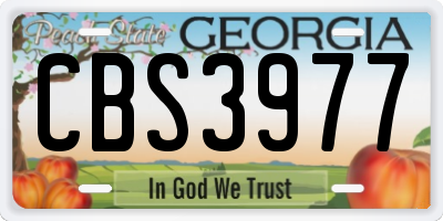 GA license plate CBS3977