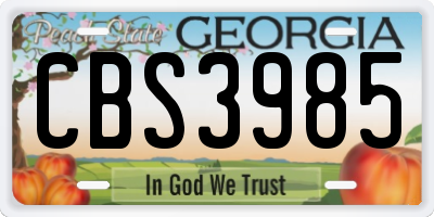 GA license plate CBS3985