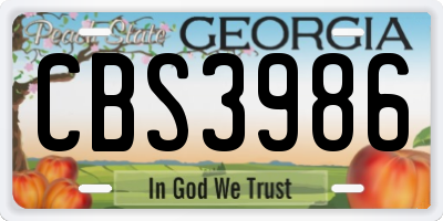 GA license plate CBS3986