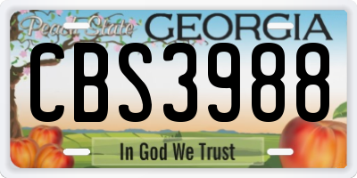 GA license plate CBS3988