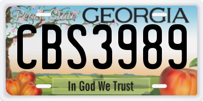 GA license plate CBS3989