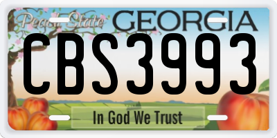 GA license plate CBS3993