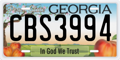 GA license plate CBS3994