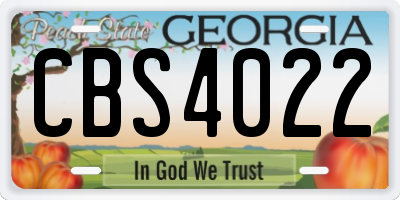 GA license plate CBS4022