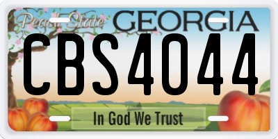 GA license plate CBS4044
