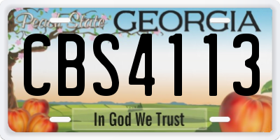 GA license plate CBS4113