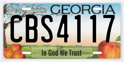GA license plate CBS4117