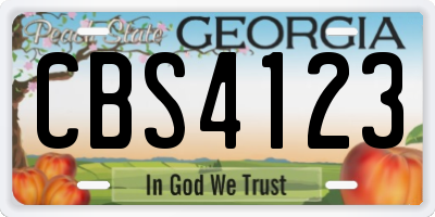 GA license plate CBS4123