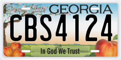 GA license plate CBS4124