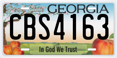 GA license plate CBS4163