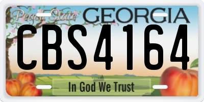 GA license plate CBS4164