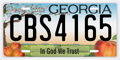 GA license plate CBS4165