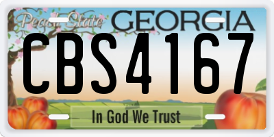 GA license plate CBS4167