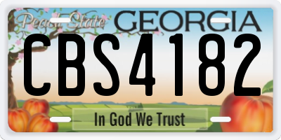 GA license plate CBS4182