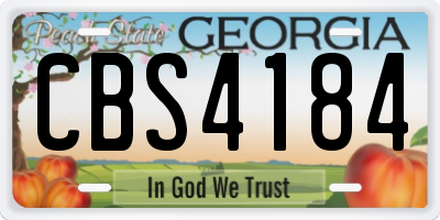 GA license plate CBS4184