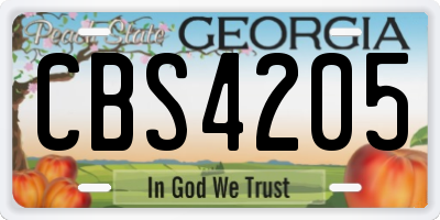 GA license plate CBS4205