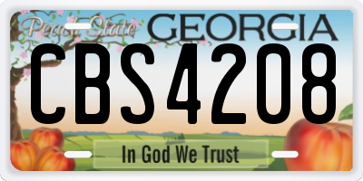GA license plate CBS4208