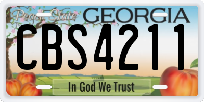 GA license plate CBS4211