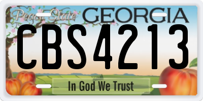 GA license plate CBS4213