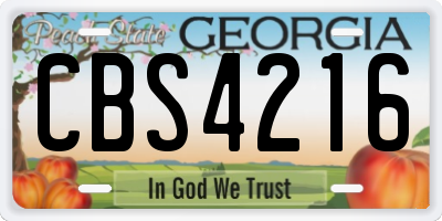 GA license plate CBS4216