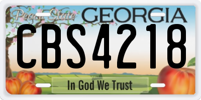 GA license plate CBS4218