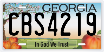 GA license plate CBS4219