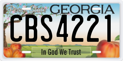 GA license plate CBS4221