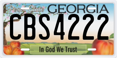GA license plate CBS4222