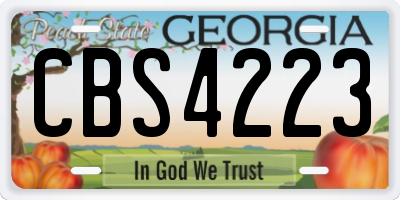 GA license plate CBS4223