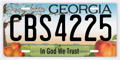 GA license plate CBS4225