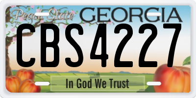 GA license plate CBS4227