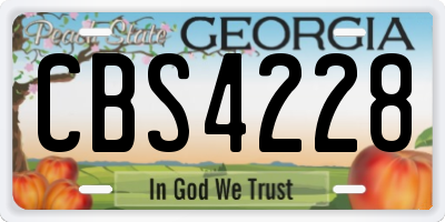 GA license plate CBS4228