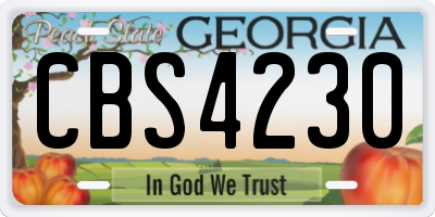 GA license plate CBS4230