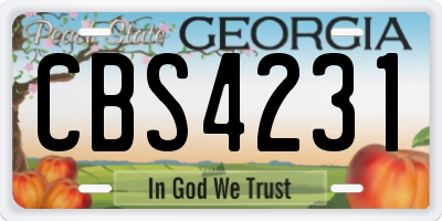 GA license plate CBS4231