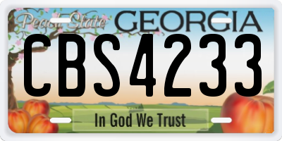GA license plate CBS4233