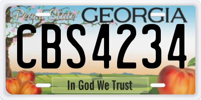 GA license plate CBS4234