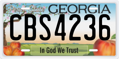 GA license plate CBS4236