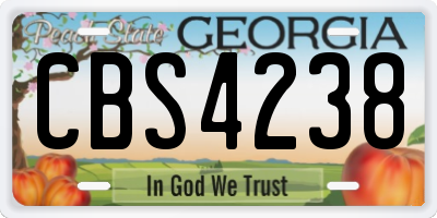 GA license plate CBS4238
