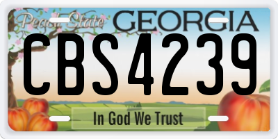 GA license plate CBS4239