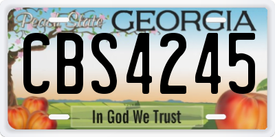 GA license plate CBS4245