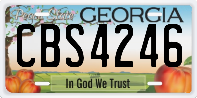 GA license plate CBS4246