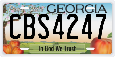 GA license plate CBS4247