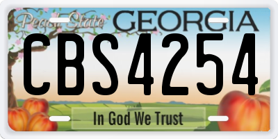 GA license plate CBS4254