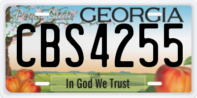 GA license plate CBS4255