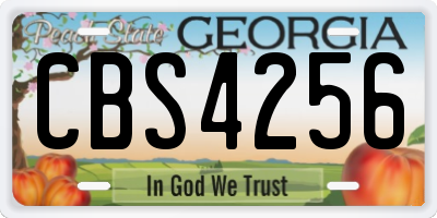 GA license plate CBS4256