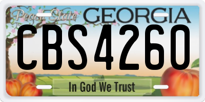 GA license plate CBS4260