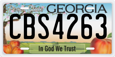 GA license plate CBS4263