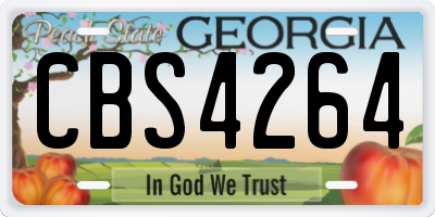 GA license plate CBS4264