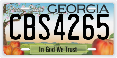GA license plate CBS4265